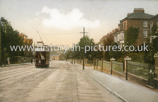 Primrose Hill, Barrack Road, Northampton. c.1915